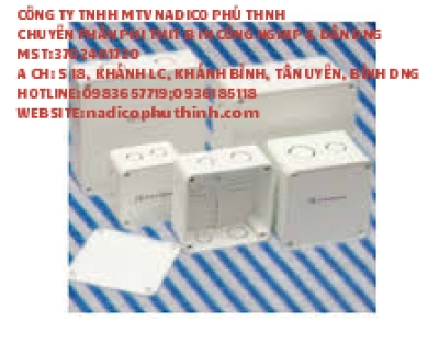 Đế âm đôi sino