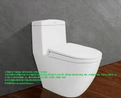Bồn cầu khối v45 Viglacera