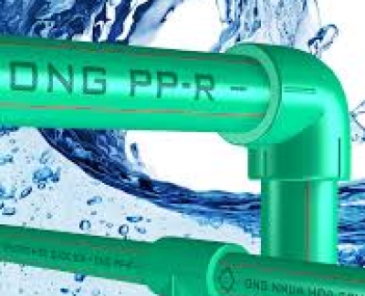 Ông PPR  Hoa sen phi 75