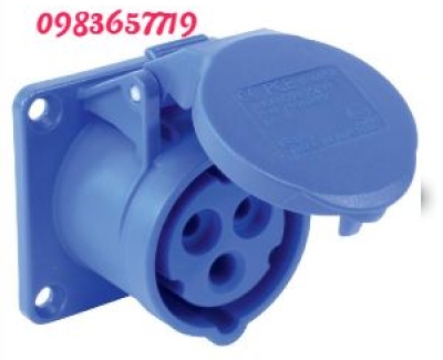 ổ cám công nghiệp cố đinh 16A 3 lỗ