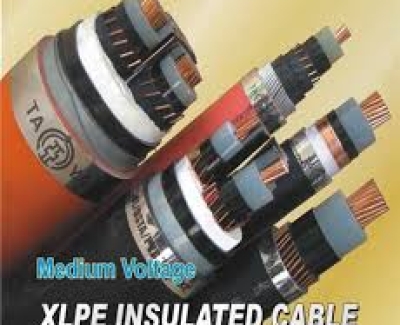 Dây cáp điện taya  cxv 