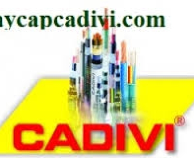 dây điện cadivi hạ thế 