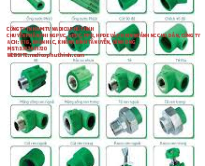  phụ kiện PPR Demax