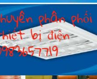 đèn led tuýp pragon 2