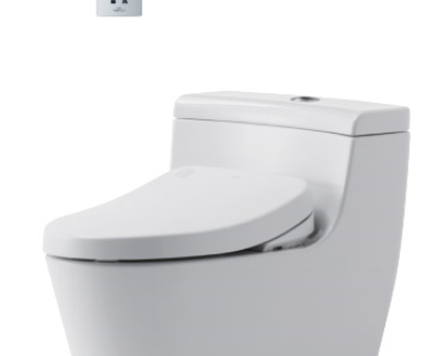 Bồn cầu bệt viglacera  2