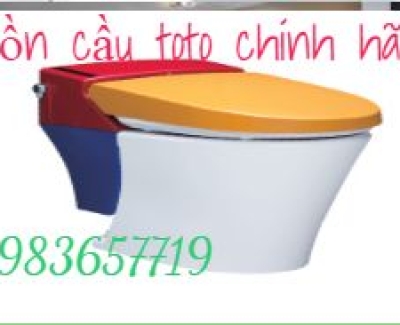 Bồn cầu nắp điện tử toto 1