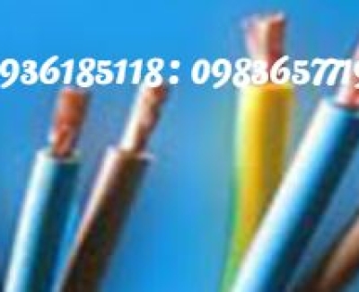 dây cáp taya có áp giáp dạng sợi